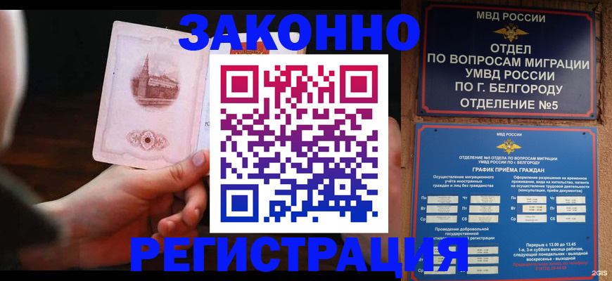 прописка 2025 в Волжске